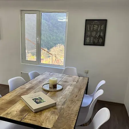 Villa Rodopi Mountain Narechenski Bani