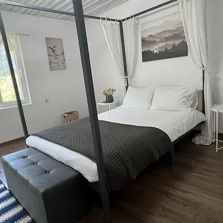 Rodopi Mountain * Narechenski Bani