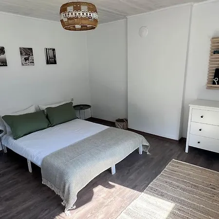 Rodopi Mountain Villa *