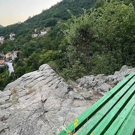 Rodopi Mountain Villa Narechenski Bani