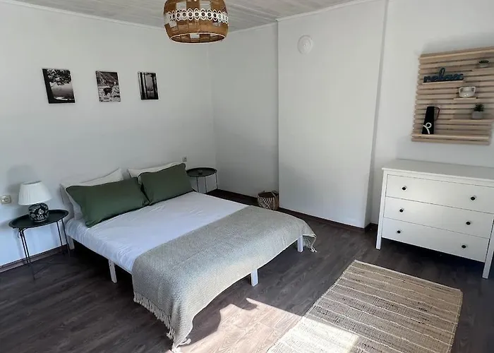 Rodopi Mountain Villa *