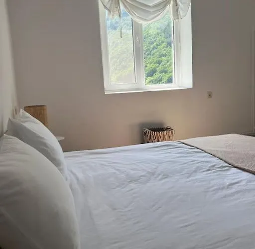 Villa Rodopi Mountain Narechenski Bani