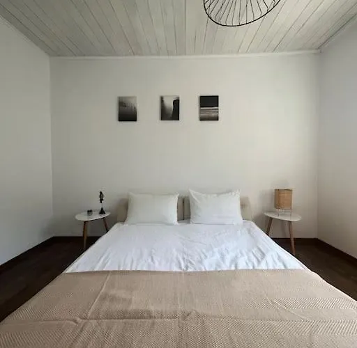 Rodopi Mountain * Narechenski Bani